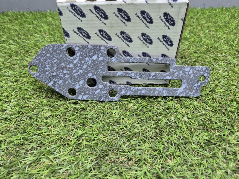 Прокладка масляного радиатора Ford Transit 2006/2014 BSG30116094 TT9