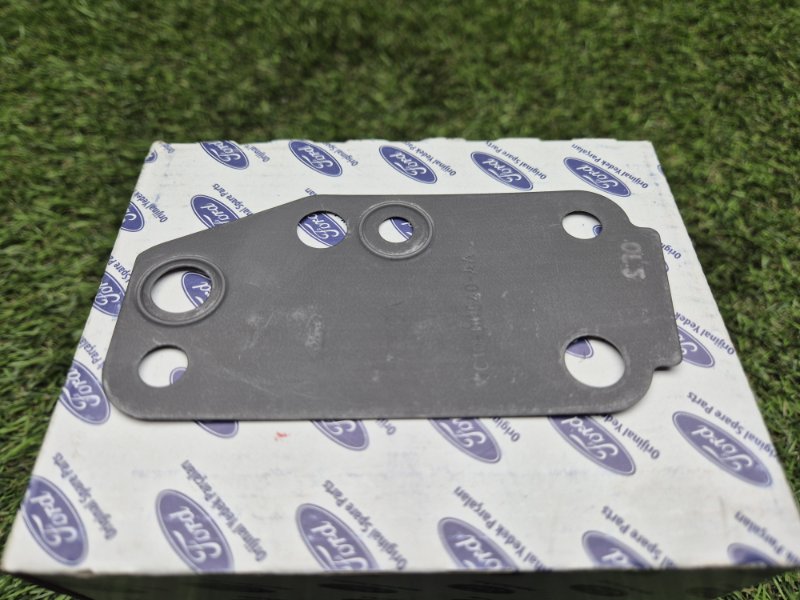 Прокладка водяного насоса Ford Transit 2006/2014 4611835 TT9