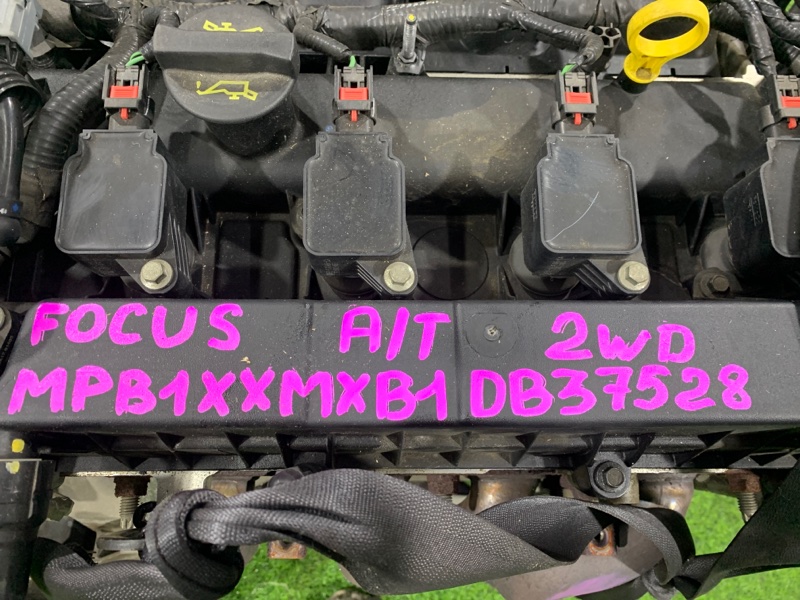 Двигатель FOCUS CB8 MGDA