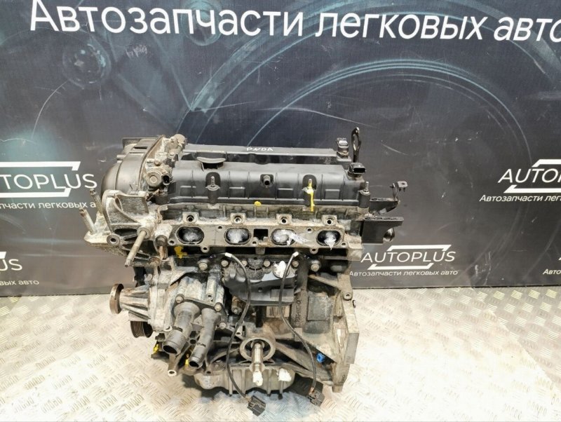Двигатель 1.6 PNDA Ford