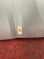 Запчасть поворотник в крыле правый NISSAN Serena 2004
