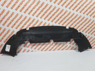 Дефлектор радиатора FORD FOCUS 2 (2008-2011)