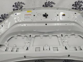 Капот Noah ZRR80G Капот Noah ZRR80G