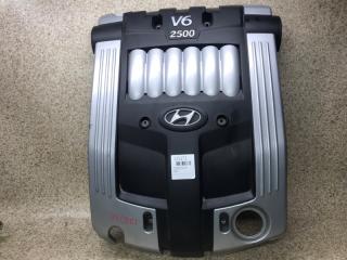 Запчасть пластиковая крышка на двс HYUNDAI XG250