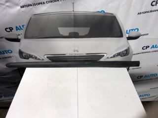 Запчасть молдинг двери передний левый Peugeot 206 Coupe 9625100077 Б/У Молдинг двери передний левый Peugeot 206 Coupe 9625100077 Б/У