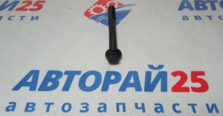 Запчасть болты гбц Nissan штучно 1105643G00