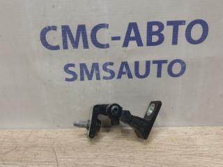 Петля двери Audi Q5 2010