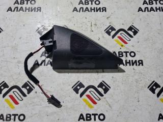 Запчасть динамик Volkswagen Passat 2009
