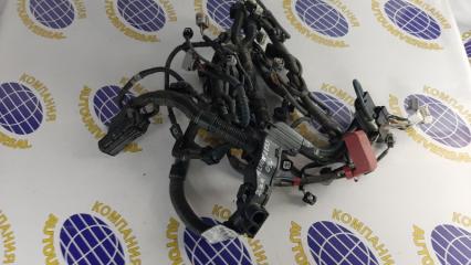 Проводка ДВС Toyota Allion 2009
