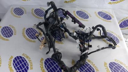 Проводка ДВС Toyota Wish 2006